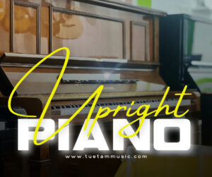 Mua piano cơ Diapason tại Tây Ninh