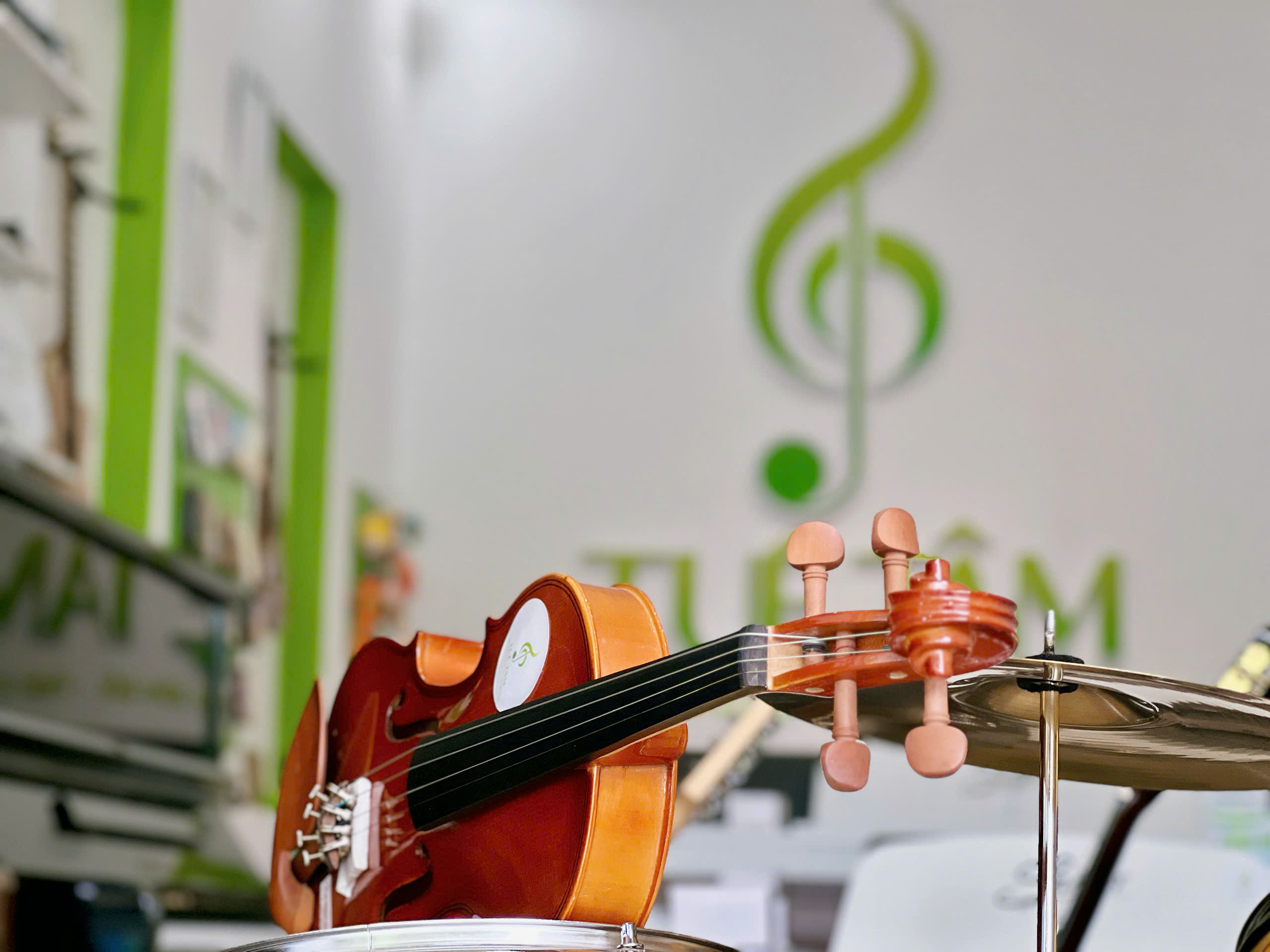 Đàn Violin chính hãng tại Tây Ninh