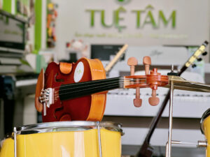 Đàn violin cho bé tại Tây Ninh