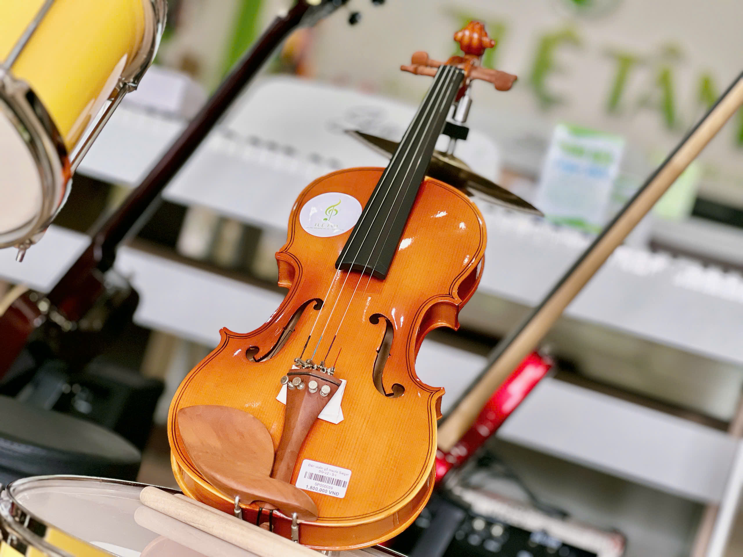 Đàn Violin giá rẻ tại Tây Ninh