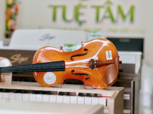 Đàn Violin chính hãng tại Tây Ninh