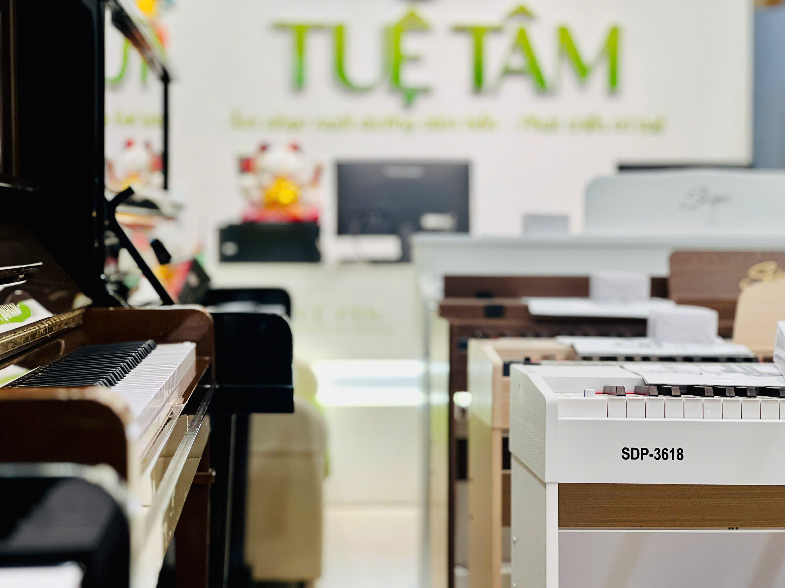 Nhạc cụ chính hãng tại Long An