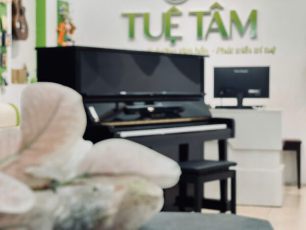 piano kawai màu đen tại long an
