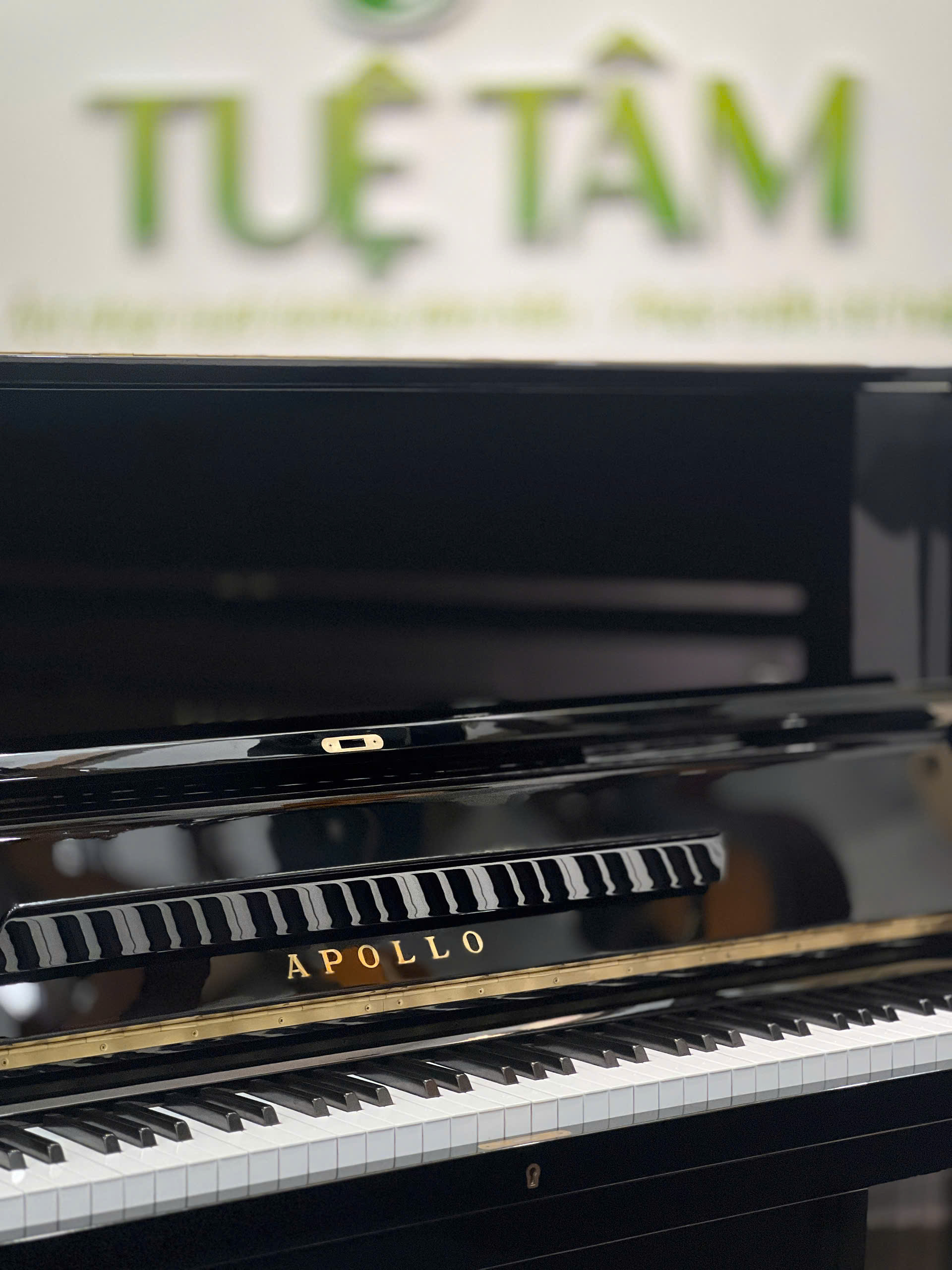 piano Apollo giá rẻ
