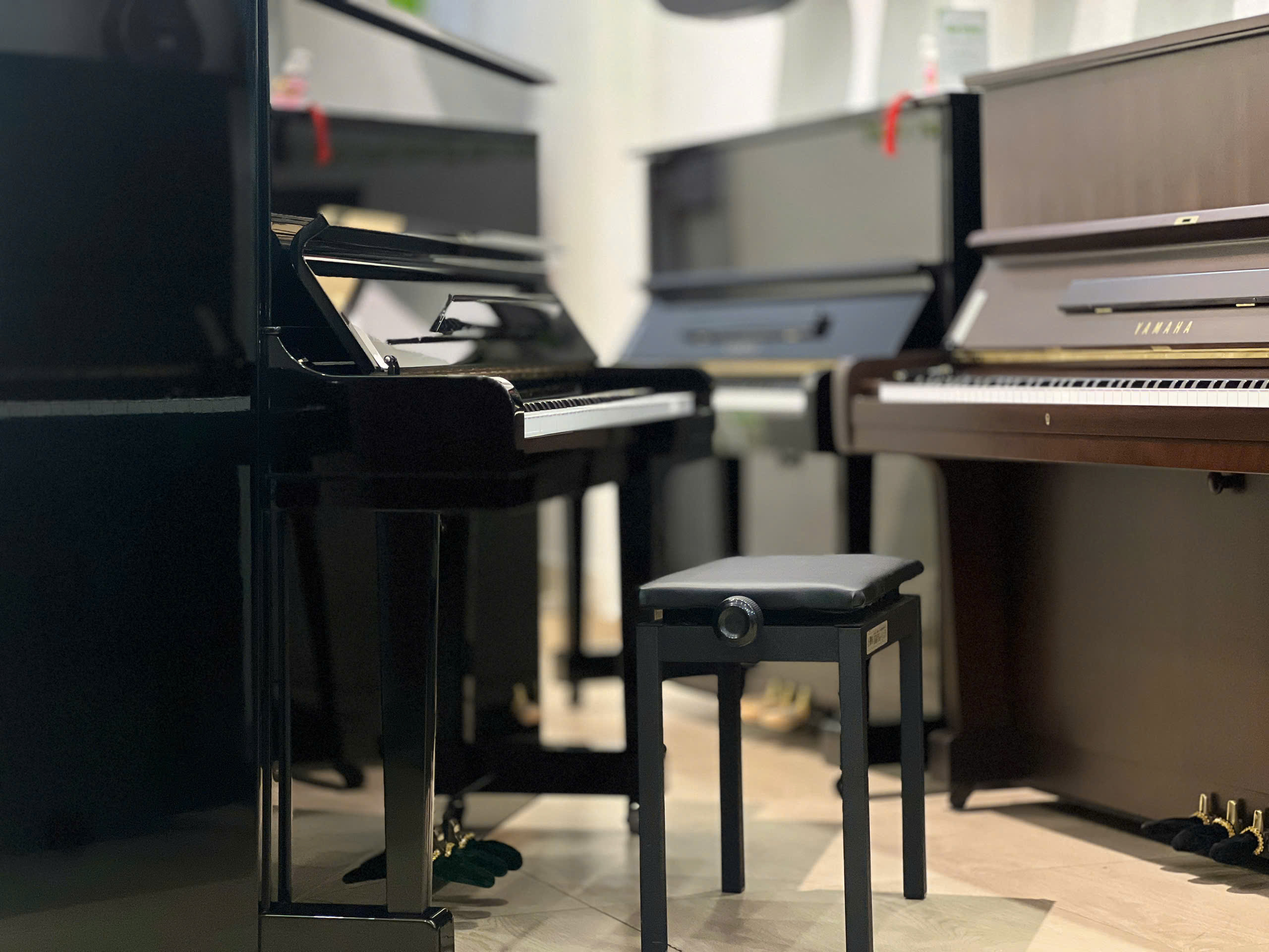 piano Apollo giá rẻ