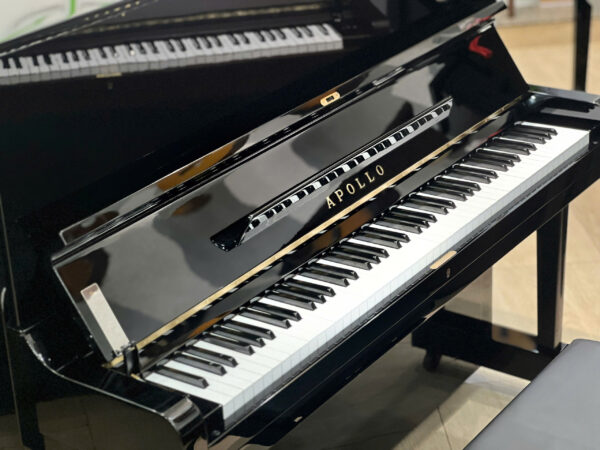 piano Apollo giá rẻ