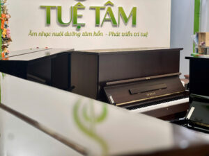 Mua đàn piano tại Tây Ninh ở đâu