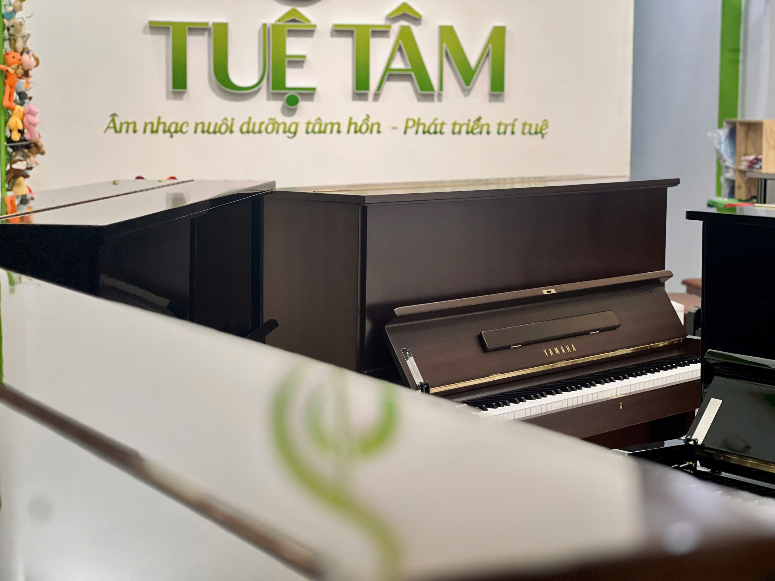 Cửa hàng piano cơ tại Long An