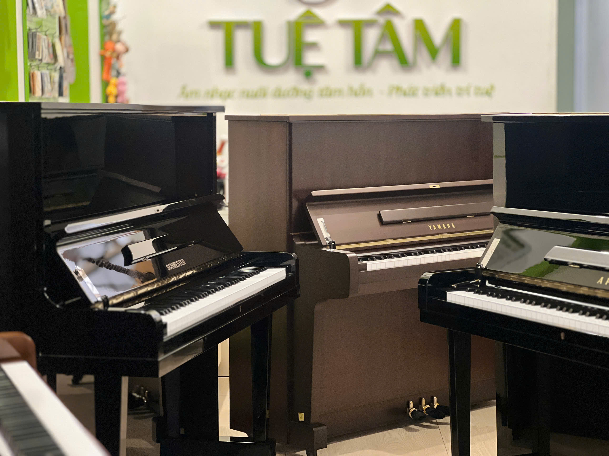Cửa hàng piano cơ tại Long An