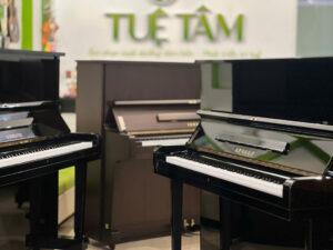 Cửa hàng piano cơ tại Tây Ninh