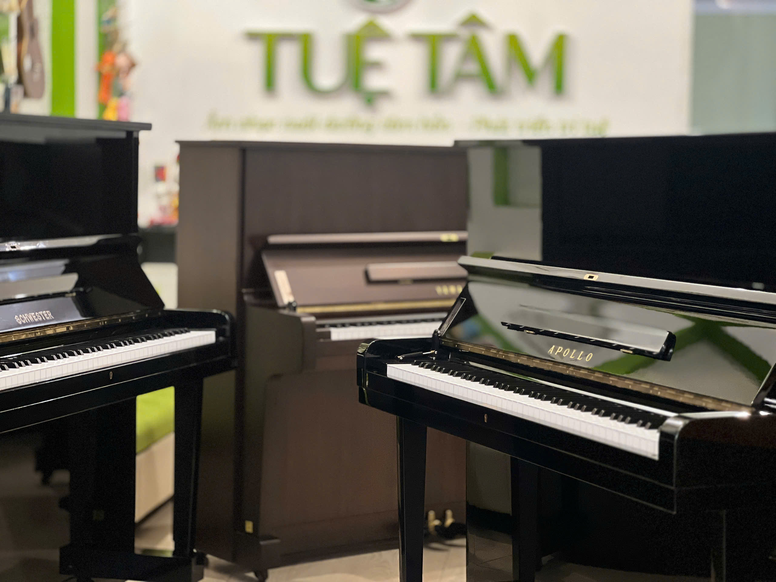 Cửa hàng piano cơ tại Tây Ninh