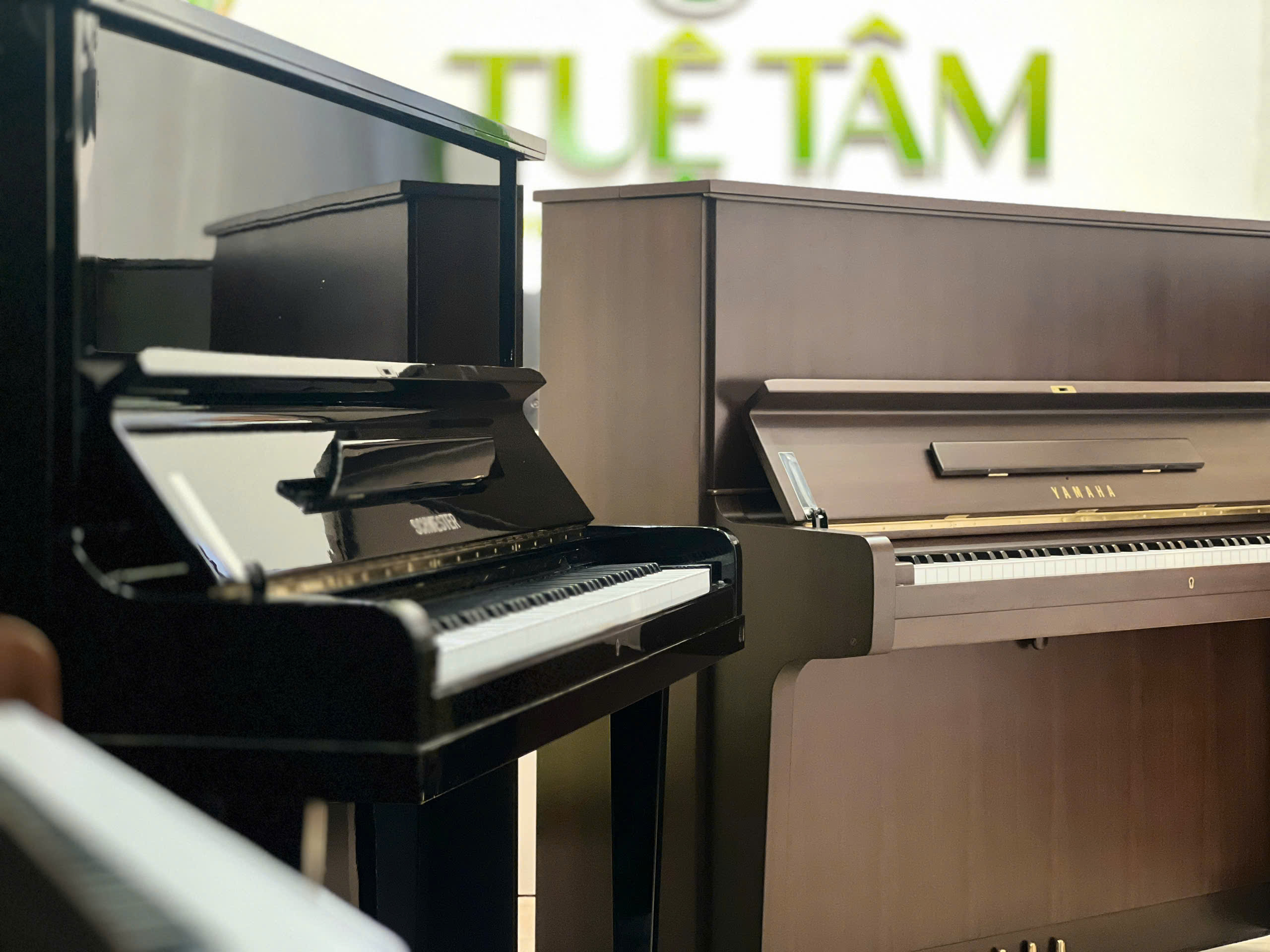 Cửa hàng piano cơ tại Long An