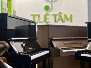 Cửa hàng piano cơ tại Long An