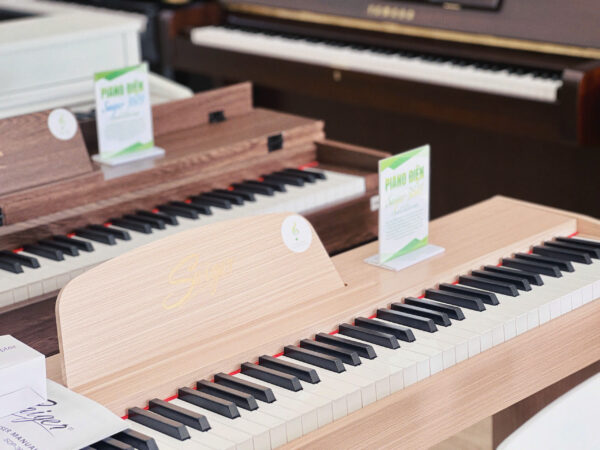 Piano điện Saiger