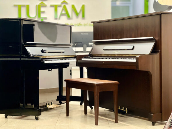 Piano cơ giá rẻ tại Tây Ninh