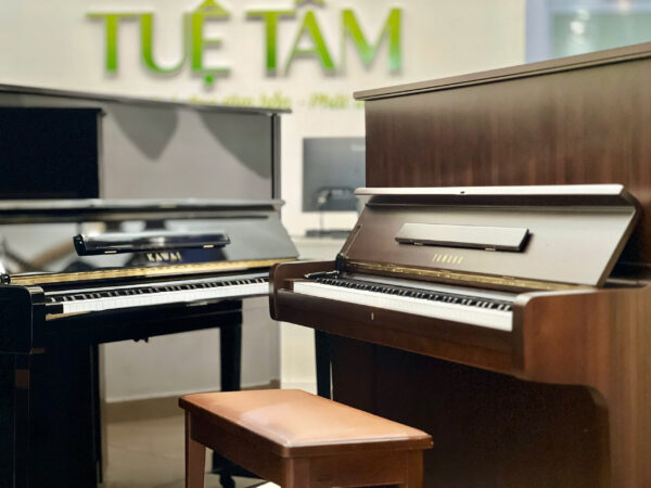 Cửa hàng Piano Yamaha chính hãng tại Tây Ninh