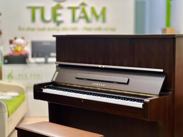 Cửa hàng Piano Yamaha chính hãng tại Tây Ninh