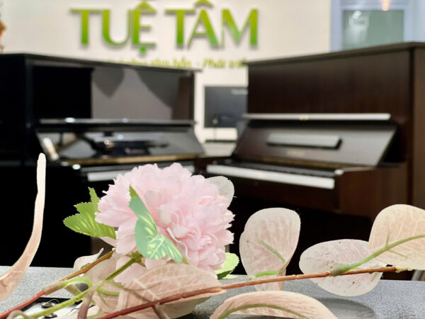 piano cơ giá rẻ tại tây ninh