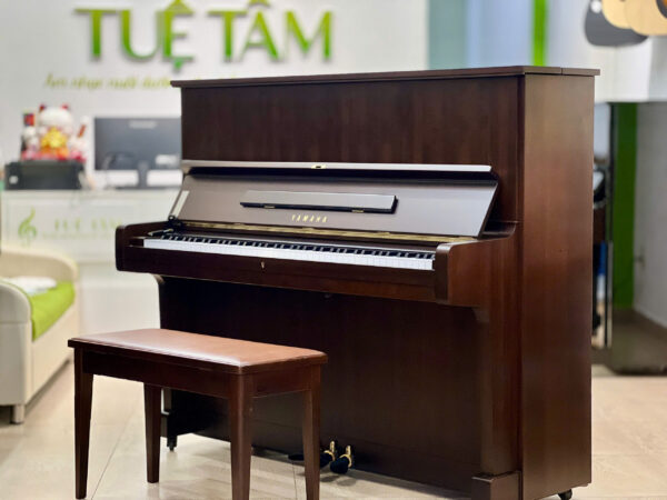 Cửa hàng Piano Yamaha chính hãng tại Tây Ninh