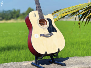 Đàn Guitar HT-89