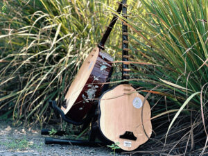 Trung-tam-am-nhac-tue-tam (10)