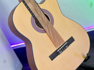 guitar saiger giá rẻ