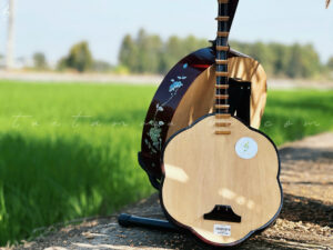 Trung-tam-am-nhac-tue-tam (16)