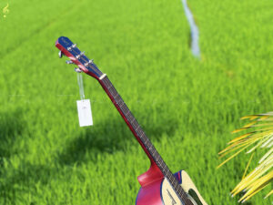 Trung-tam-am-nhac-tue-tam (2)