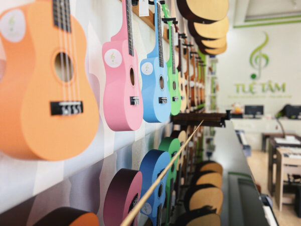 Trung-tam-am-nhac-tue-tam (2)