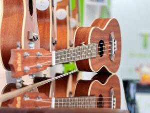 Trung-tam-am-nhac-tue-tam (2)