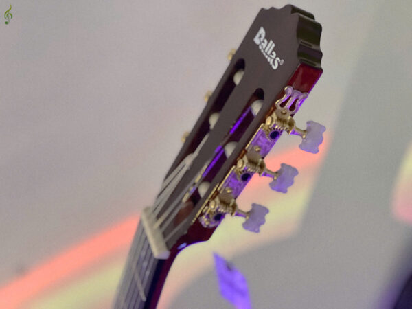 Guitar Dallas chính hãng