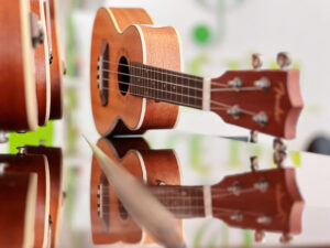 Trung-tam-am-nhac-tue-tam (3)