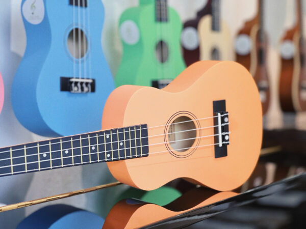 Trung-tam-am-nhac-tue-tam (4)