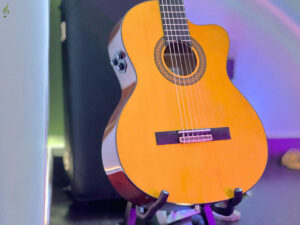 Guitar Dallas DL-C300EQ