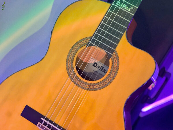 Guitar Dallas DL-C300EQ