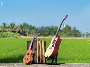 Trung-tam-am-nhac-tue-tam (6)