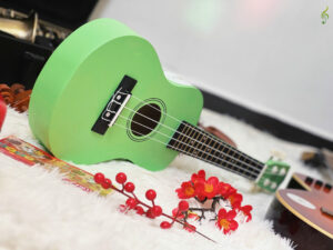 Trung-tam-am-nhac-tue-tam (5)