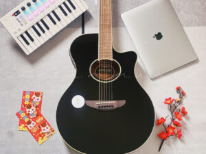 Guitar Yamaha APX600