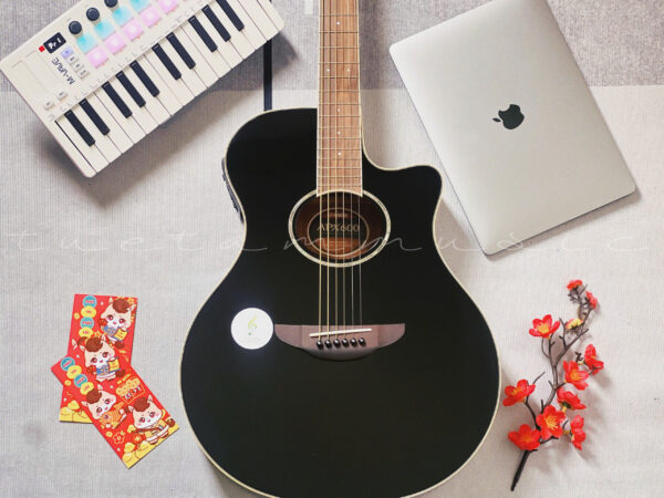 Guitar Yamaha APX600