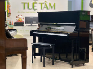 học đàn tại Tây Ninh