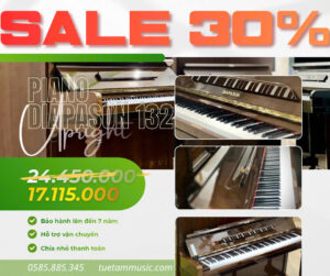 piano cơ diapason 132