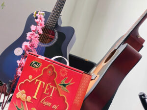 đàn guitar acoustic dưới 1 triệu