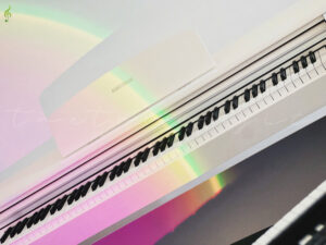 Đàn piano điện Kurtzman KS1