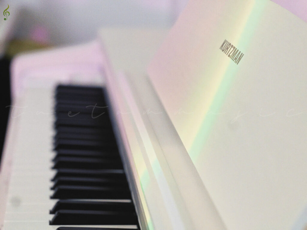 Cửa hàng Piano Kurtzman KS1 uy tín