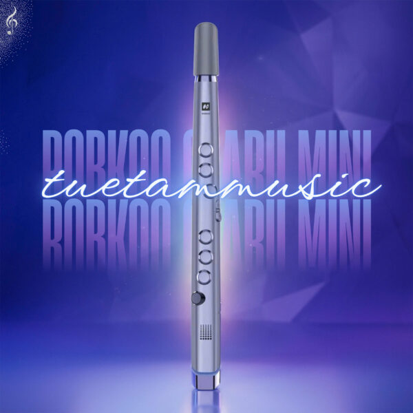 Sáo Điện Tử Robkoo Clarii Mini