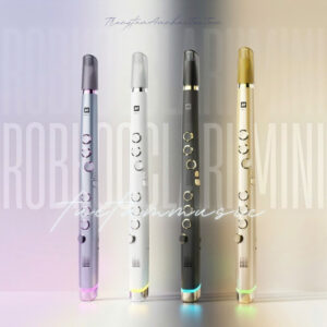 Sáo Điện Tử Robkoo Clarii Mini V2.2