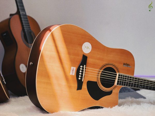 Guitar Acoustic Rosen G11