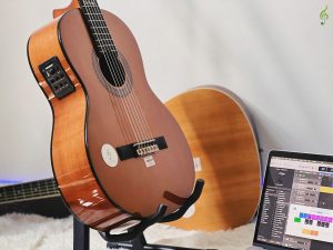 Đàn Guitar Dallas DL-Q39CE