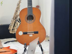 Guitar Classic DL-Q39CE