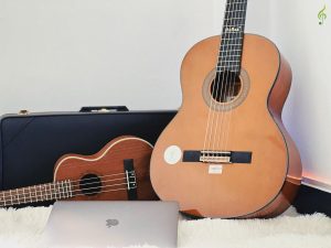 Đàn Dallas DL-Q39CE